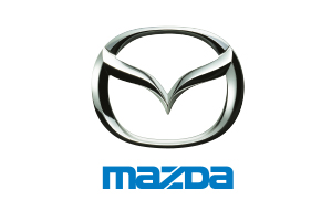 xc sports(中国区)-官方网站